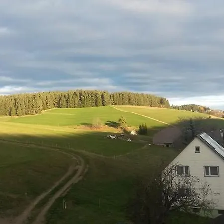 Ferienwohnung Stefan Moosmann Appartamento Unterkirnach